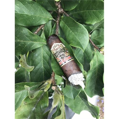 Ashton VSG Belicoso No.1 5 1/4 * 52