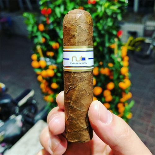 Nub Cameroon 358 3 3/4 * 58