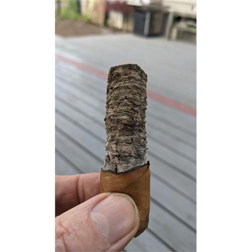 Nub Connecticut 358 3 3/4 * 58
