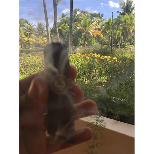 Padron Series 3000 Maduro 5 1/2 * 52