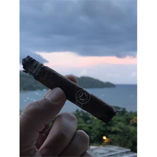 Padron Series 5000 Maduro 5 1/2 * 56