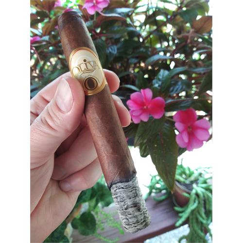 Oliva Serie O Torpedo 6 1/2 * 52