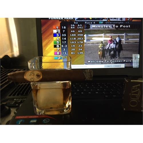 Oliva Serie O Torpedo 6 1/2 * 52