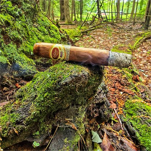 Padron 1926 Serie No. 2 Belicoso Natural 5 1/2 * 52