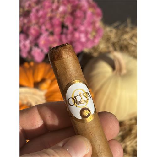 Oliva Connecticut Reserve Robusto 5  * 50