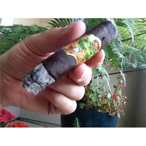 Oliva Master Blends 3 Robusto 5  * 50