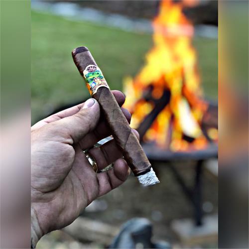 Oliva Master Blends 3 Robusto 5  * 50