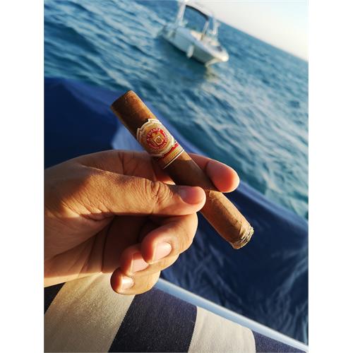 Arturo Fuente Rosado Sungrown Magnum R 56 5 5/8 * 56