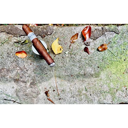 Liga Privada Unico Dirty Rat 5  * 44