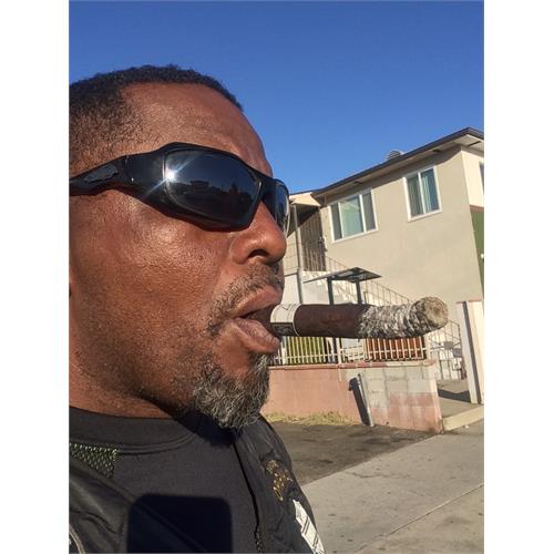 Liga Privada Unico Dirty Rat 5  * 44