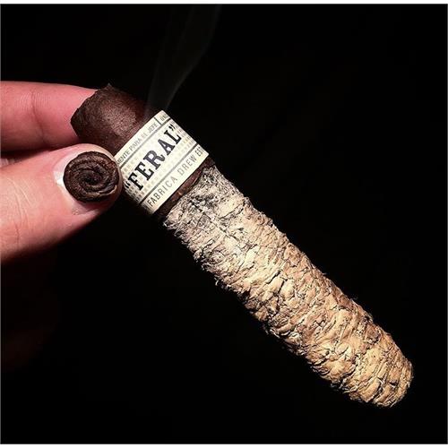 Liga Privada Unico Feral Flying Pig 5 3/8 * 60