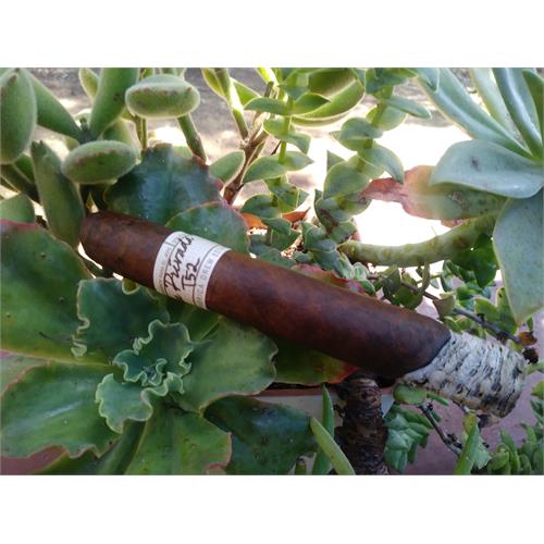 Liga Privada T52 Belicoso 6  * 52