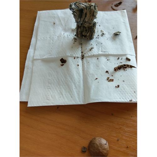 Macanudo Cru Royale Robusto 5  * 50