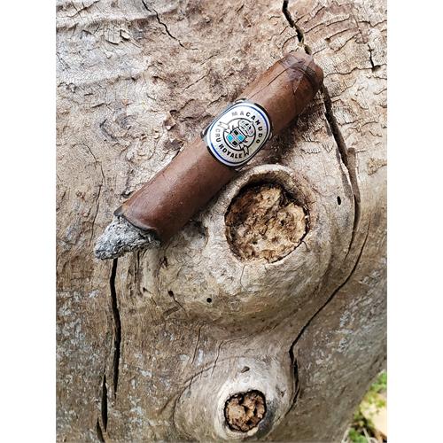 Macanudo Cru Royale Robusto 5  * 50