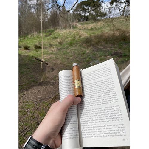 Brick House Robusto 5  * 54