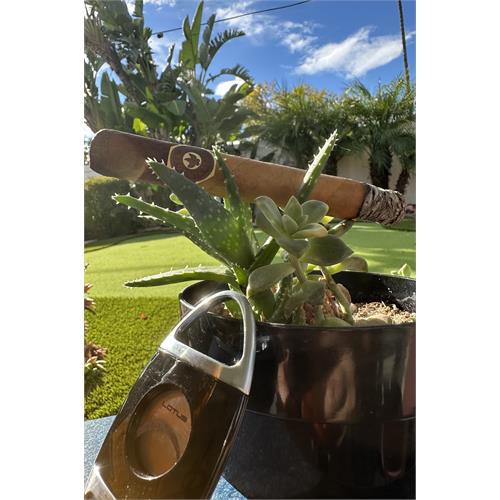 Joya de Nicaragua Cabinetta Toro 6  * 52