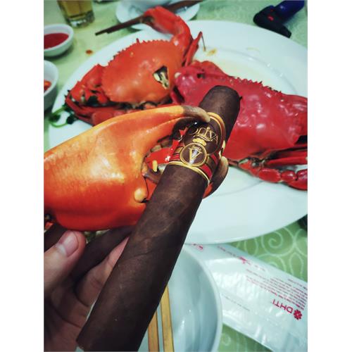 Oliva Serie V Double Toro 6  * 60
