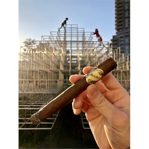 Brick House Corona Larga 6 1/4 * 46