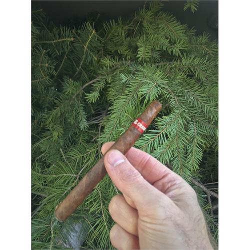 El Credito El Perrito 5 1/2 * 38