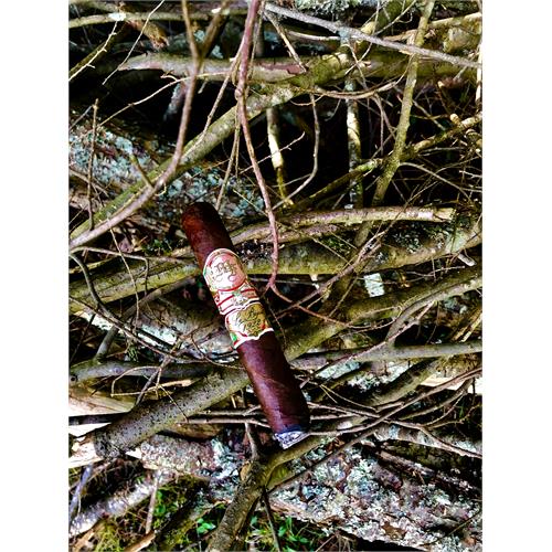 My Father Le Bijou 1922 Grand Robusto 5 5/8 * 55