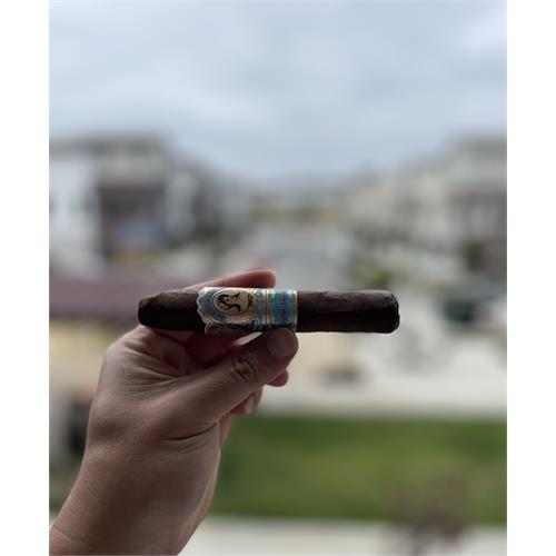 La Aroma de Cuba Mi Amor Belicoso 5 1/2 * 54