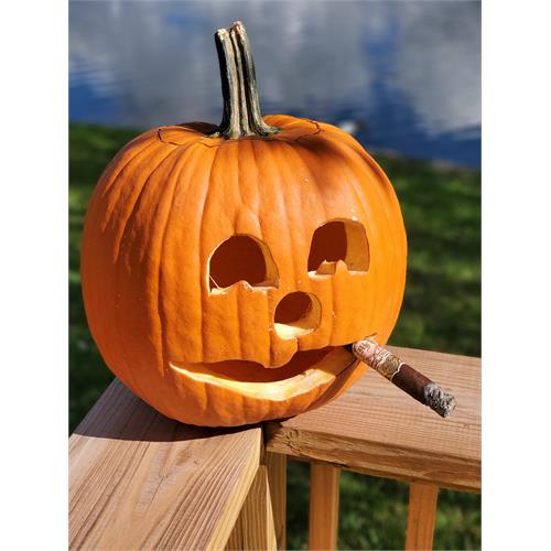 My Father Le Bijou 1922 Torpedo 6 1/8 * 52