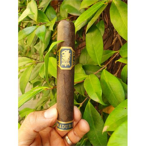 Liga Undercrown Maduro Robusto 5  * 54