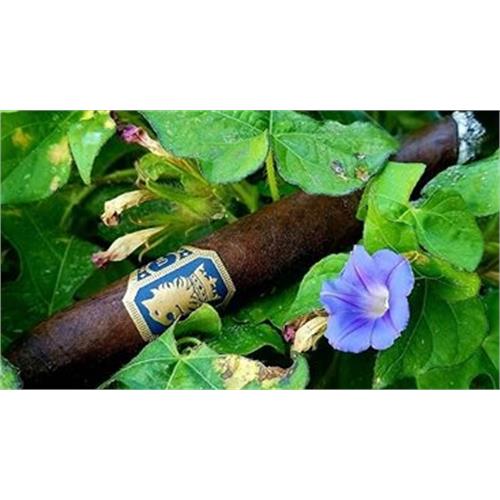 Liga Undercrown Maduro Gran Toro 6  * 52
