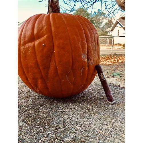 Liga Undercrown Maduro Belicoso 6  * 52