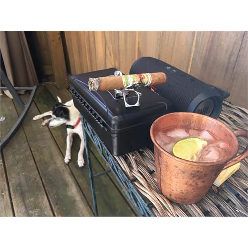 San Cristobal Elegancia Robusto 5  * 50