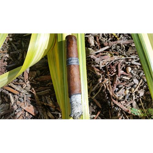 Tatuaje Black Petite Lancero 6  * 38