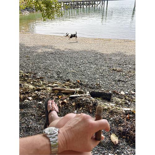 Arturo Fuente Hemingway Best Seller Natural 4 1/2 * 55