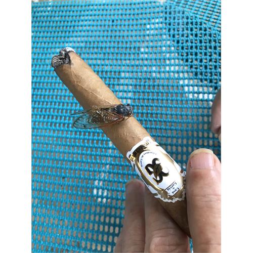 Casa de Garcia Connecticut Toro 5 1/2 * 50