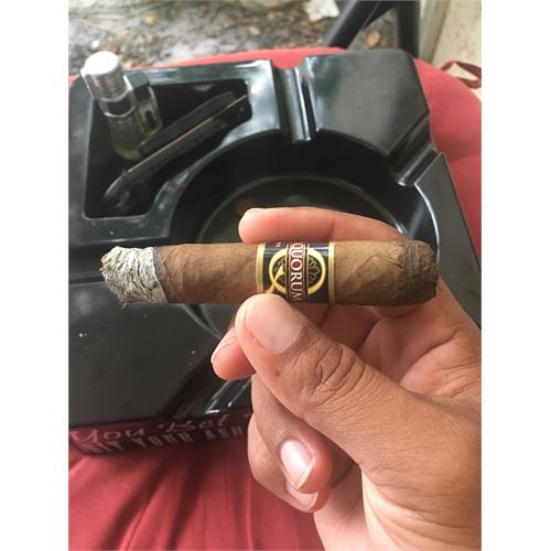 Quorum Toro 6  * 50