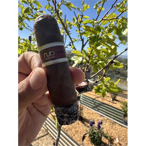 Nub Habano 466 4  * 66