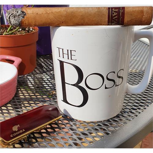 Java Latte Toro 6  * 50