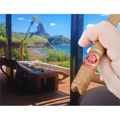 Arturo Fuente Natural Chateau Fuente Royal Salute 7 5/8 * 54