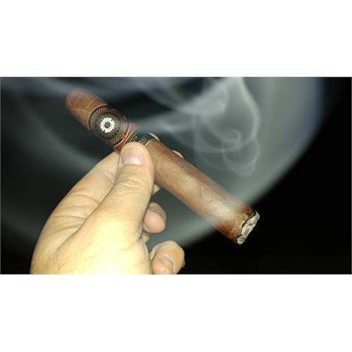 Perdomo 20th Anniversary Sun Grown E656 6  * 56