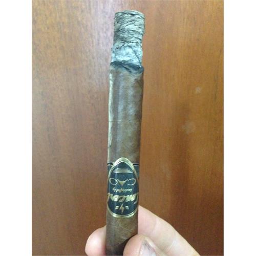 CAO Concert AMP 5 1/2 * 46