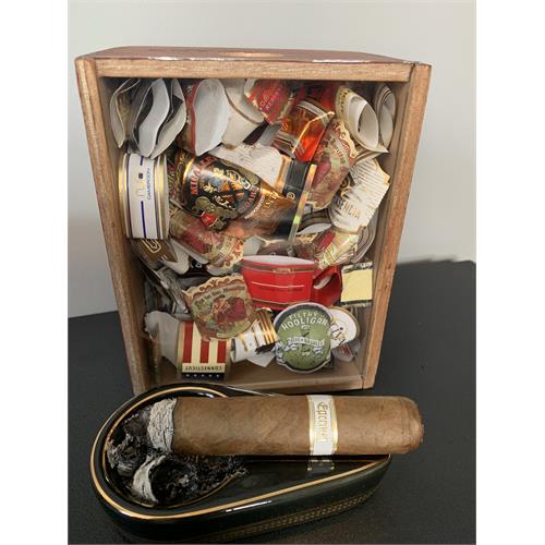 Illusione Epernay Le Taureau 5 1/2 * 56