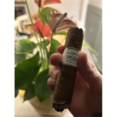 Illusione Epernay Le Taureau 5 1/2 * 56