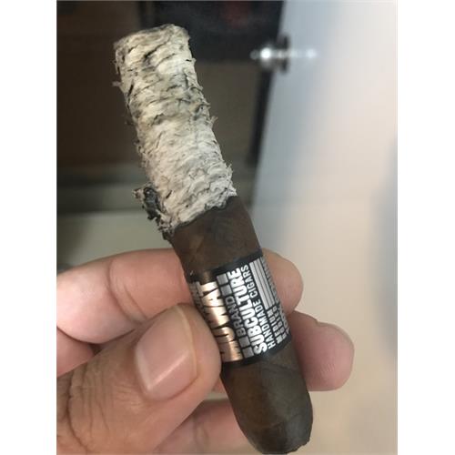 My Uzi Weighs a Ton Bait Fish 4  * 44