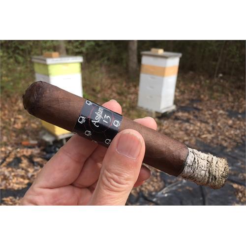 Asylum 13 Maduro 660 6  * 60