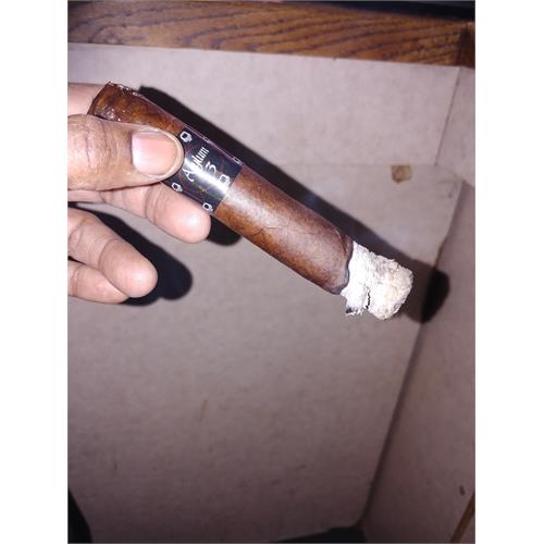 Asylum 13 Maduro 660 6  * 60