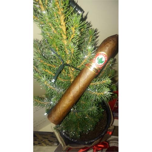 Joya de Nicaragua Antano 1970 Belicoso 6  * 54