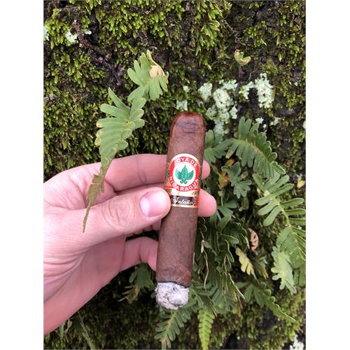 Joya de Nicaragua Antano 1970 Robusto Grande 5 1/2 * 52