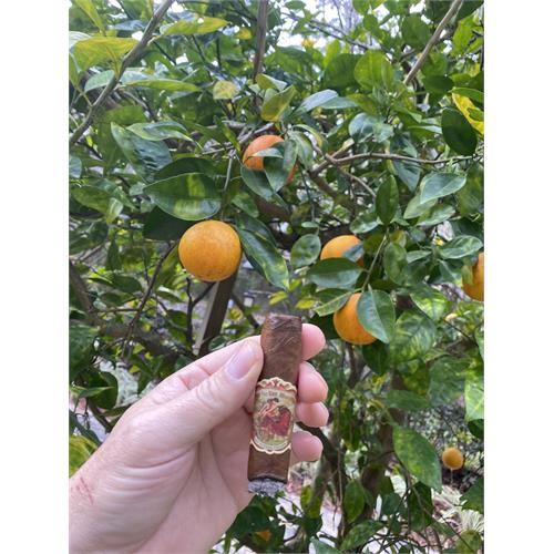 Flor de las Antillas Robusto 5  * 50