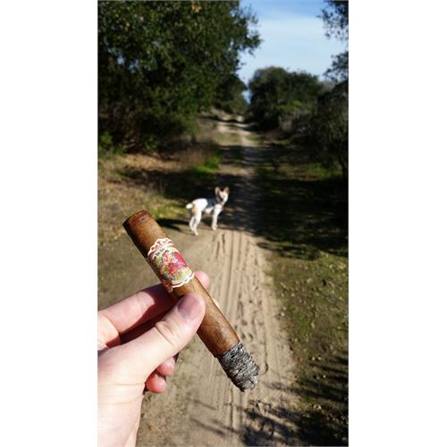 Flor de las Antillas Toro 6  * 52