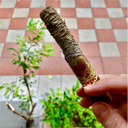 Flor de las Antillas Toro 6  * 52