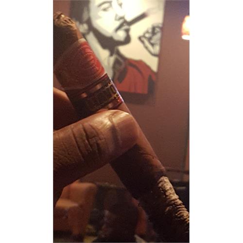 Romeo y Julieta Havoc Magnum 6  * 60